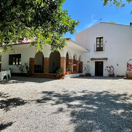 Villa Tana Pacenzia Cefalù Exterior foto